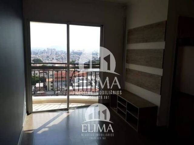 Locação em Limão - São Paulo